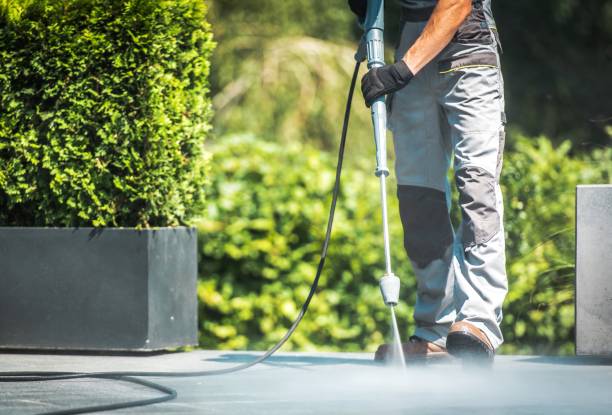Best Roof Washing  in Burnham, PA