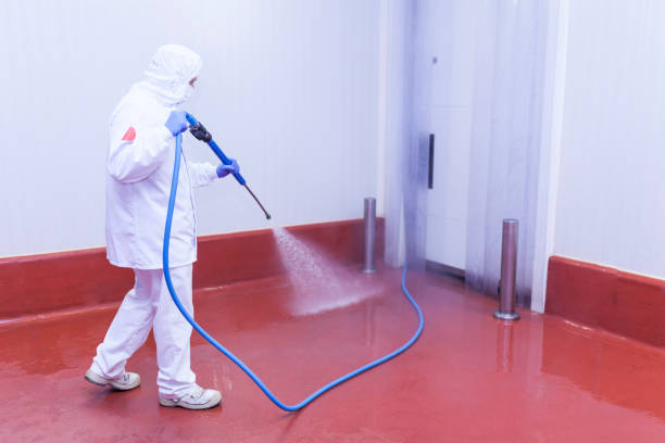 Best Playground Equipment Cleaning  in Burnham, PA